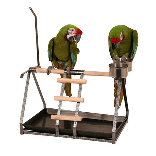 Papūgos „Playstand“ paukščių žaidimų aikštelė